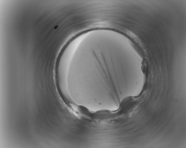 X0000065971334200603311828