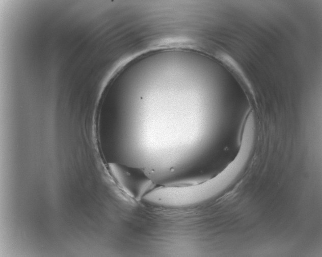 X0000065971336200603311829