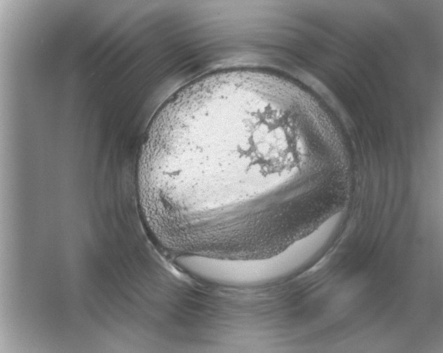 X0000065971337200603311829