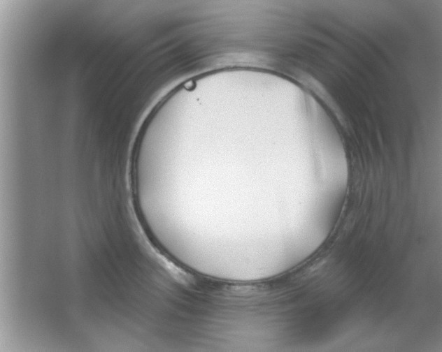 X0000065971339200603311829