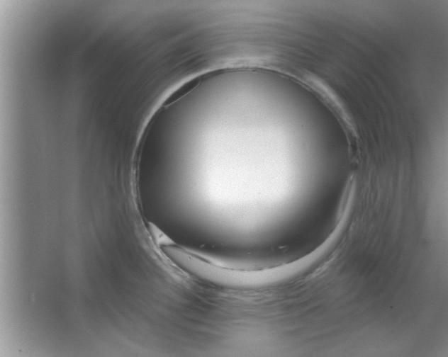 X0000065971340200603311829