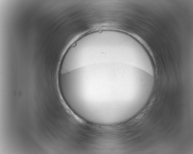 X0000065971341200603311829