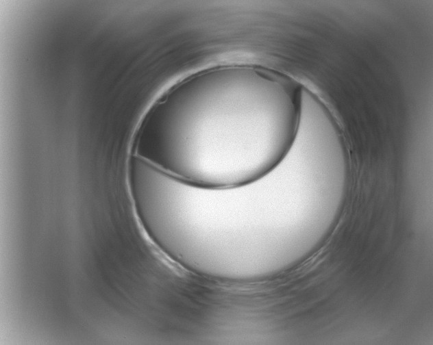 X0000065971342200603311829