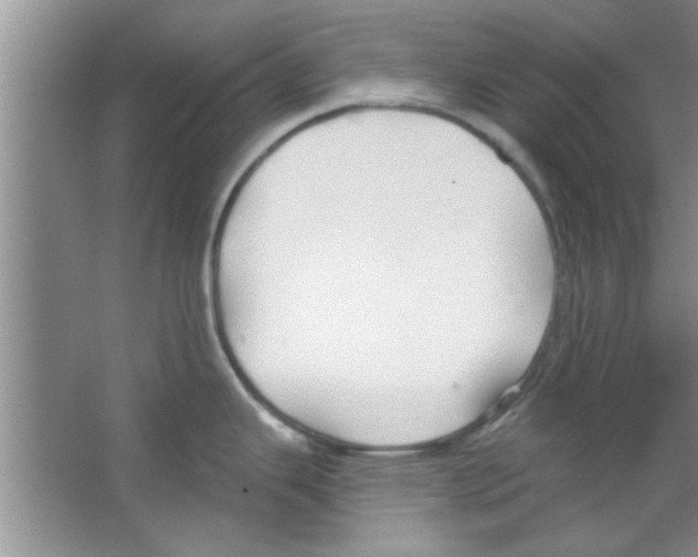 X0000065971343200603311829