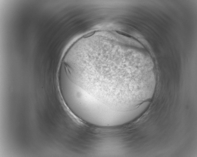 X0000065971344200603311829