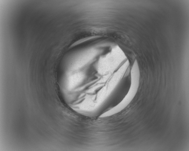 X0000065971345200603311828