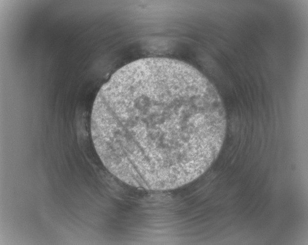 X0000065971346200603311828