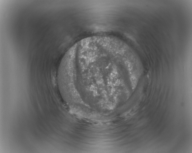 X0000065971348200603311828