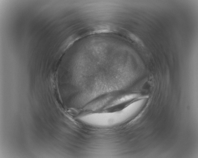 X0000065971353200603311828