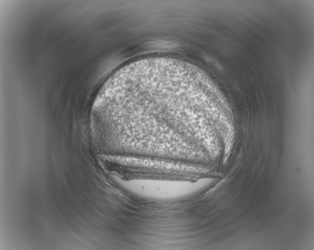 X0000065971354200603311828