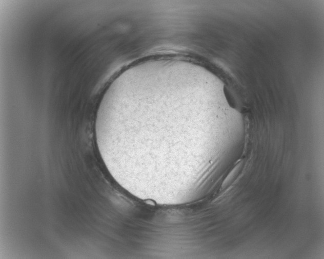 X0000065971355200603311828