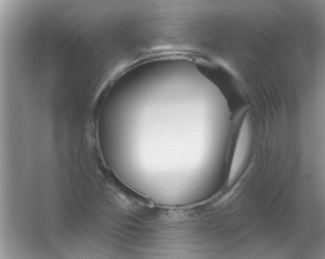 X0000065971357200603311828