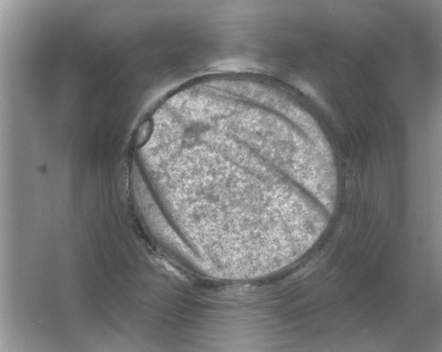 X0000065971358200603311828