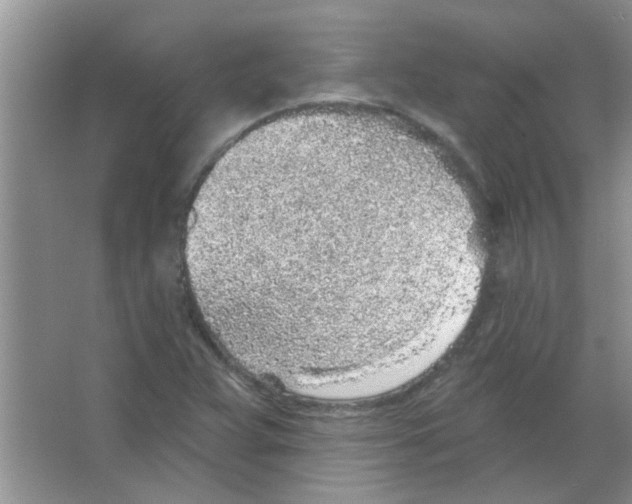 X0000065971359200603311828