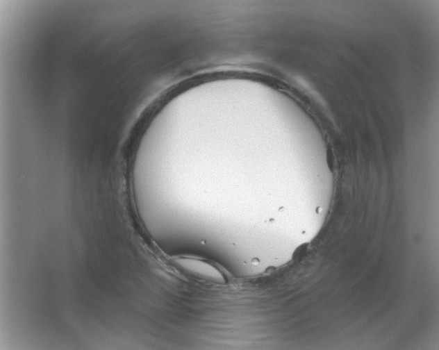 X0000065971360200603311828