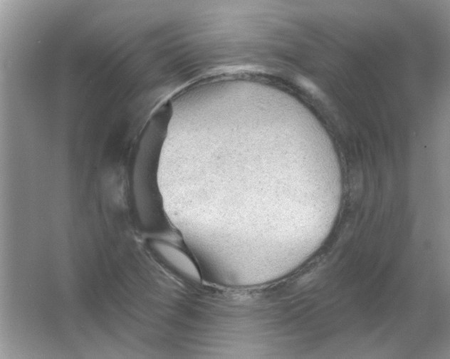 X0000065971361200603311828