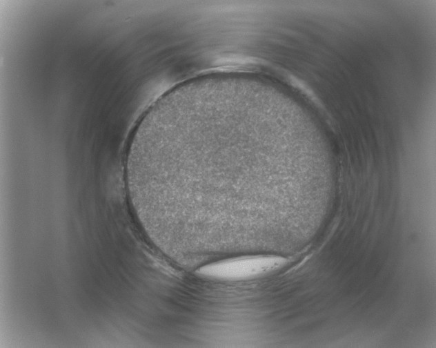 X0000065971362200603311828