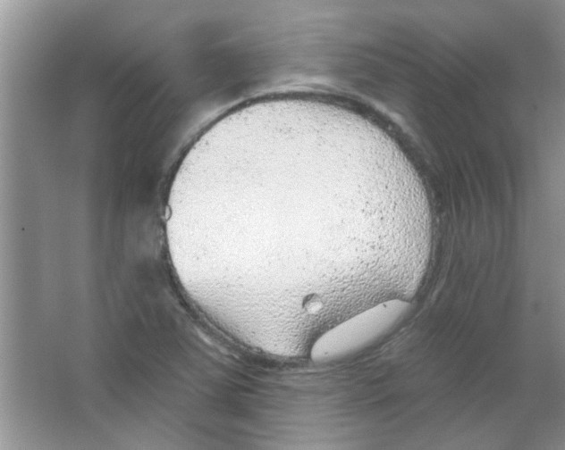 X0000065971363200603311828