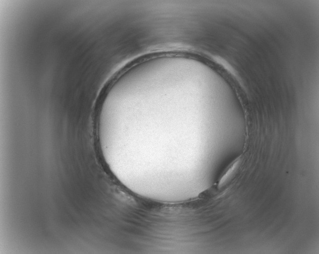 X0000065971364200603311828