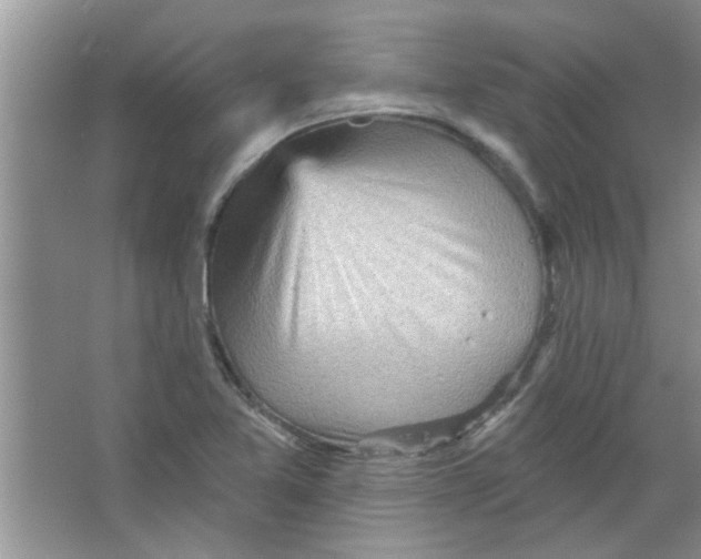 X0000065971365200603311828