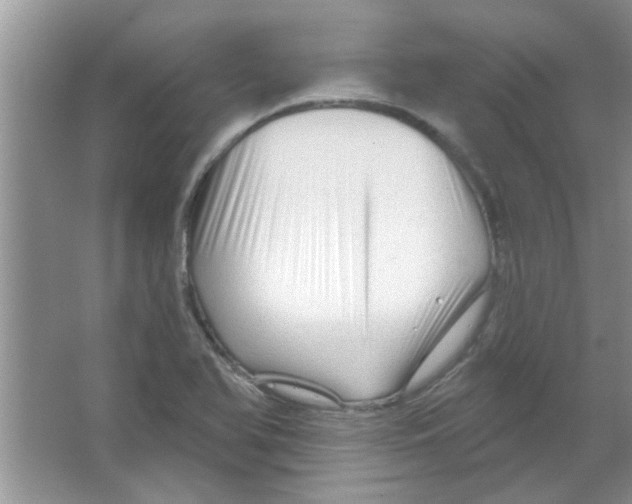 X0000065971366200603311827