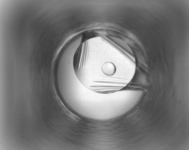 X0000065971368200603311827