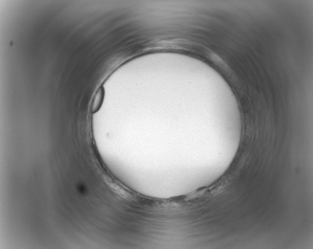 X0000065971370200603311827