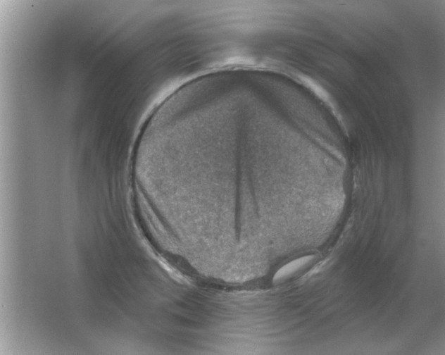 X0000065971373200603311827