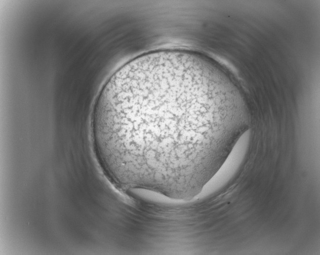 X0000065971375200603311827