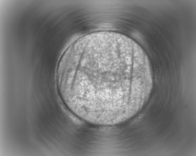 X0000065971378200603311827