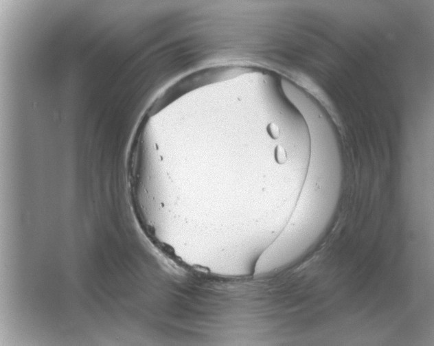 X0000065971380200603311827