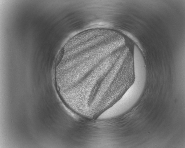 X0000065971383200603311827