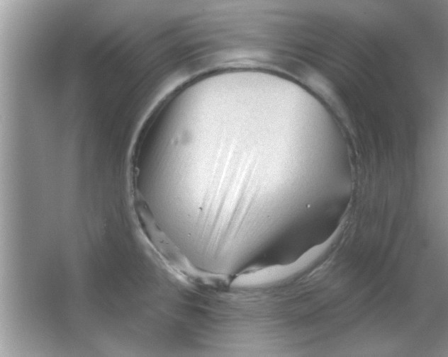 X0000065971384200603311827