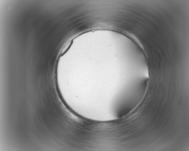 X0000065971387200603311827