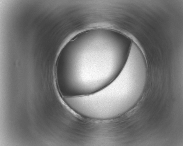 X0000065971389200603311827