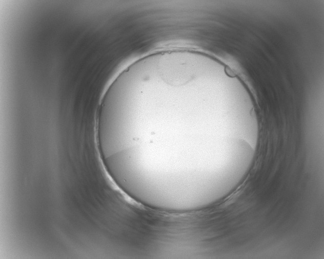 X0000065971390200603311827