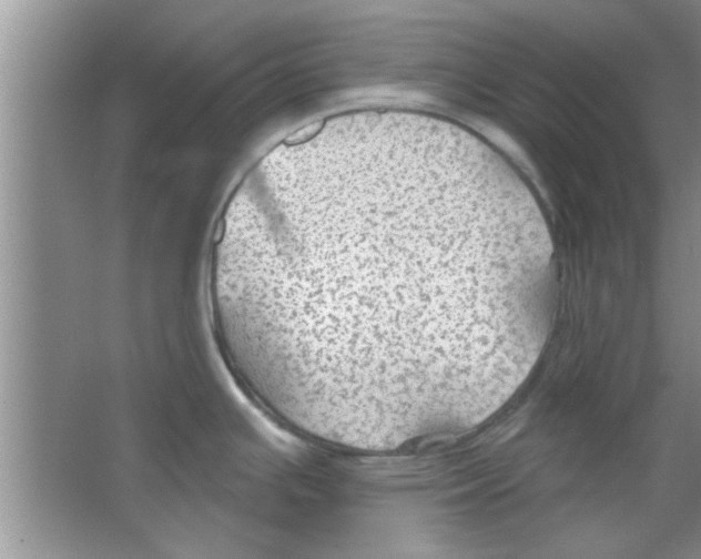 X0000065971391200603311827