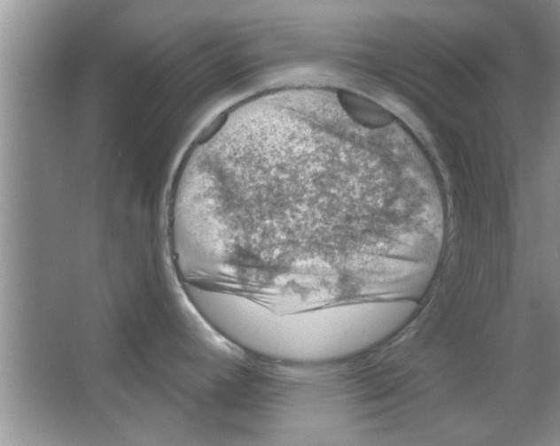 X0000065971392200603311827