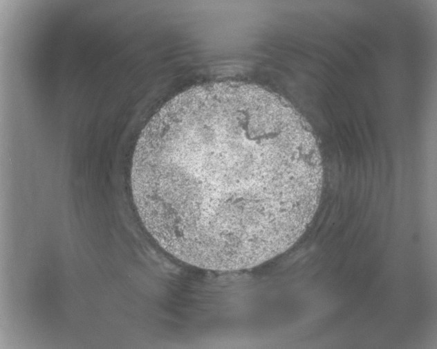 X0000065971393200603311826