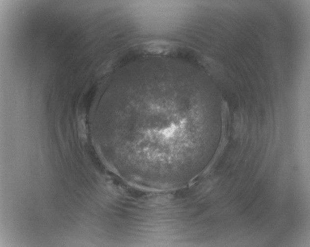 X0000065971394200603311826