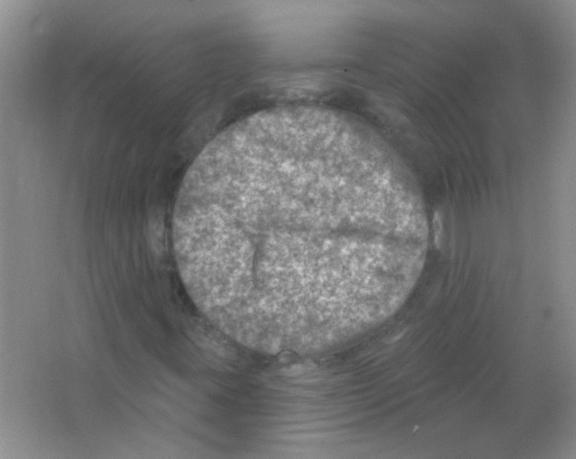 X0000065971395200603311826