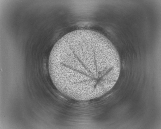 X0000065971396200603311826