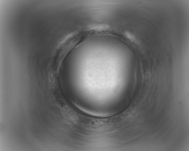 X0000065971398200603311826