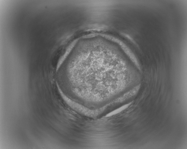 X0000065971399200603311826