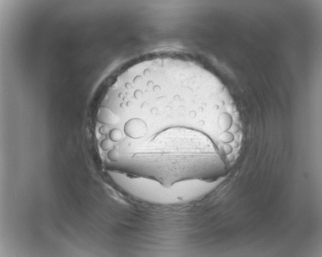 X0000065971400200603311826