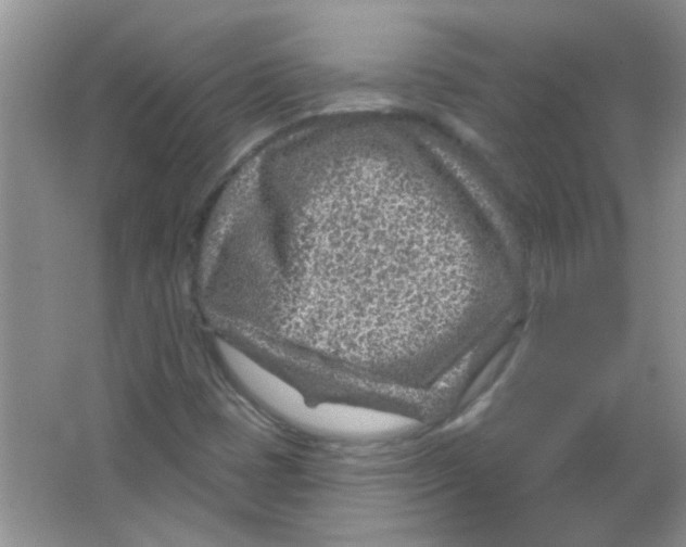 X0000065971401200603311826