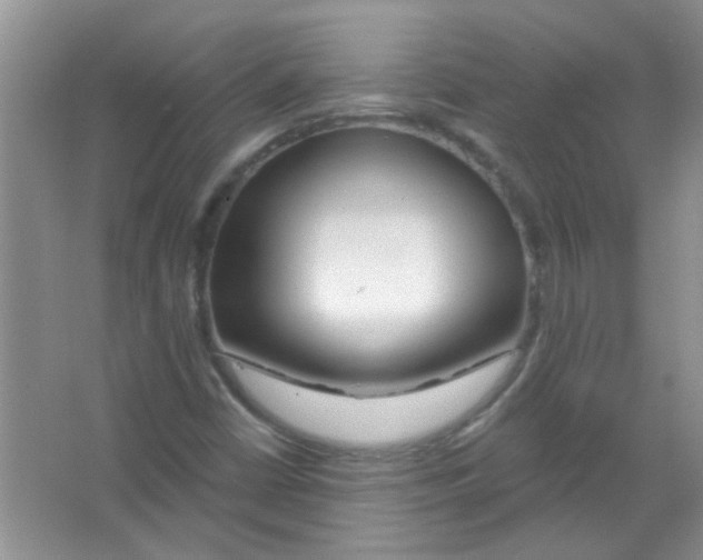 X0000065971402200603311826