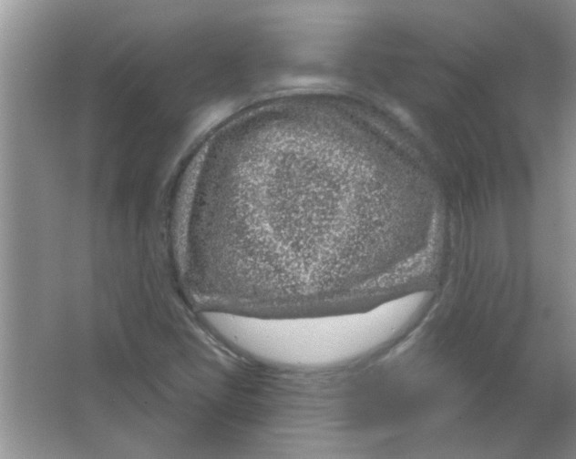 X0000065971405200603311826