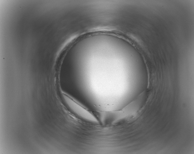 X0000065971406200603311826