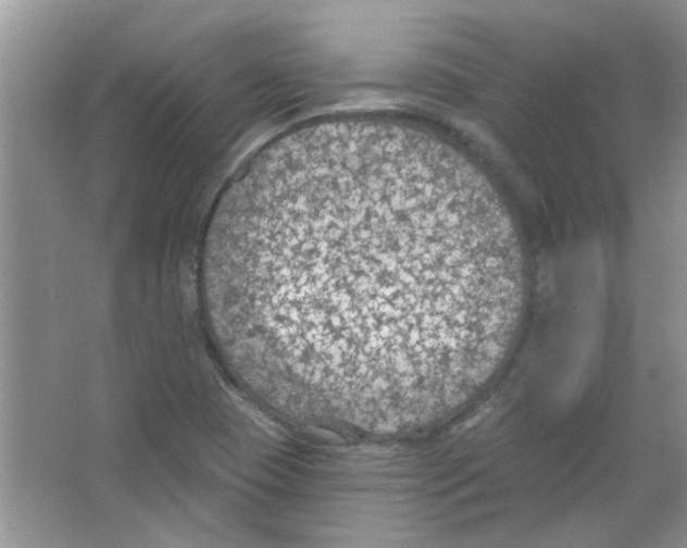 X0000065971409200603311827